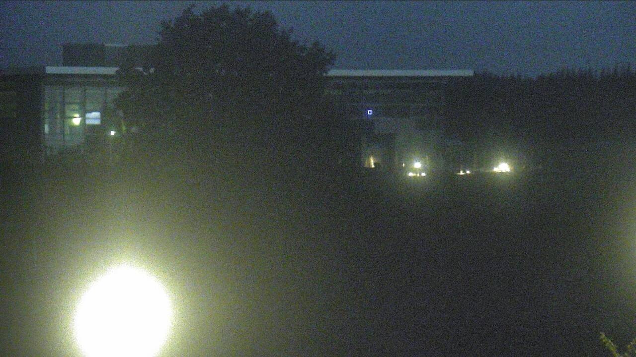 Archiv Foto Webcam Ostsee Resort Damp - Strandpromenade