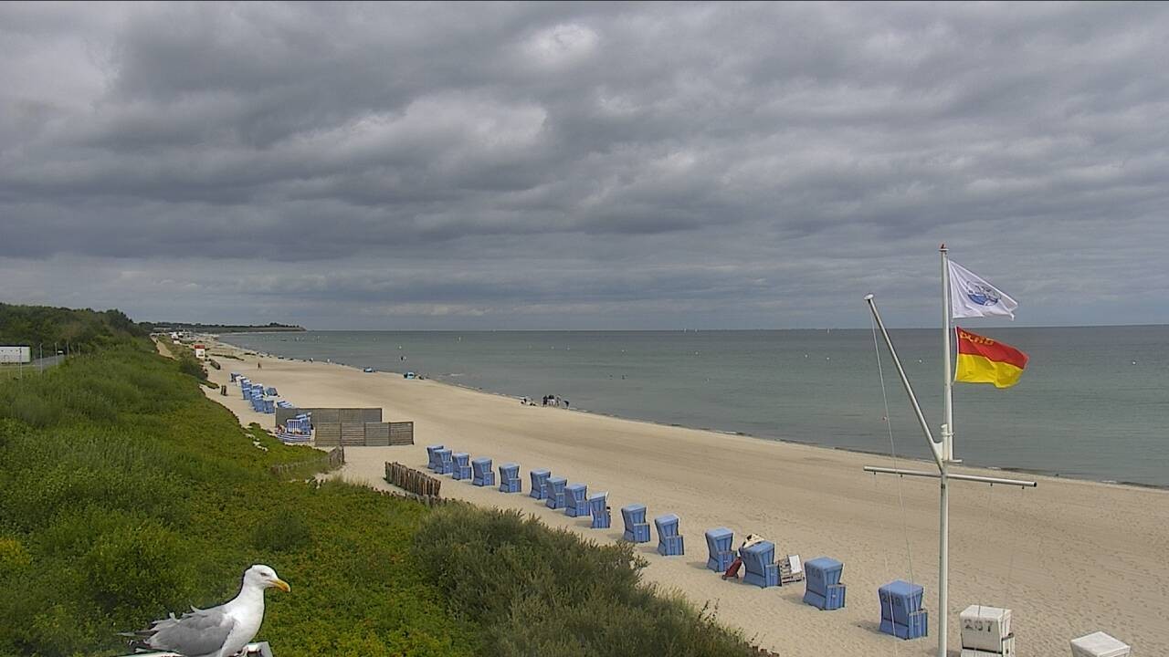 Archiv Foto Webcam Ostsee Resort Damp - Strandpromenade