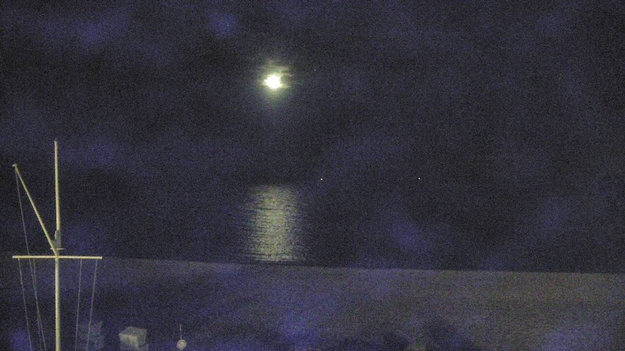 Archiv Foto Webcam Ostsee Resort Damp - Strandpromenade