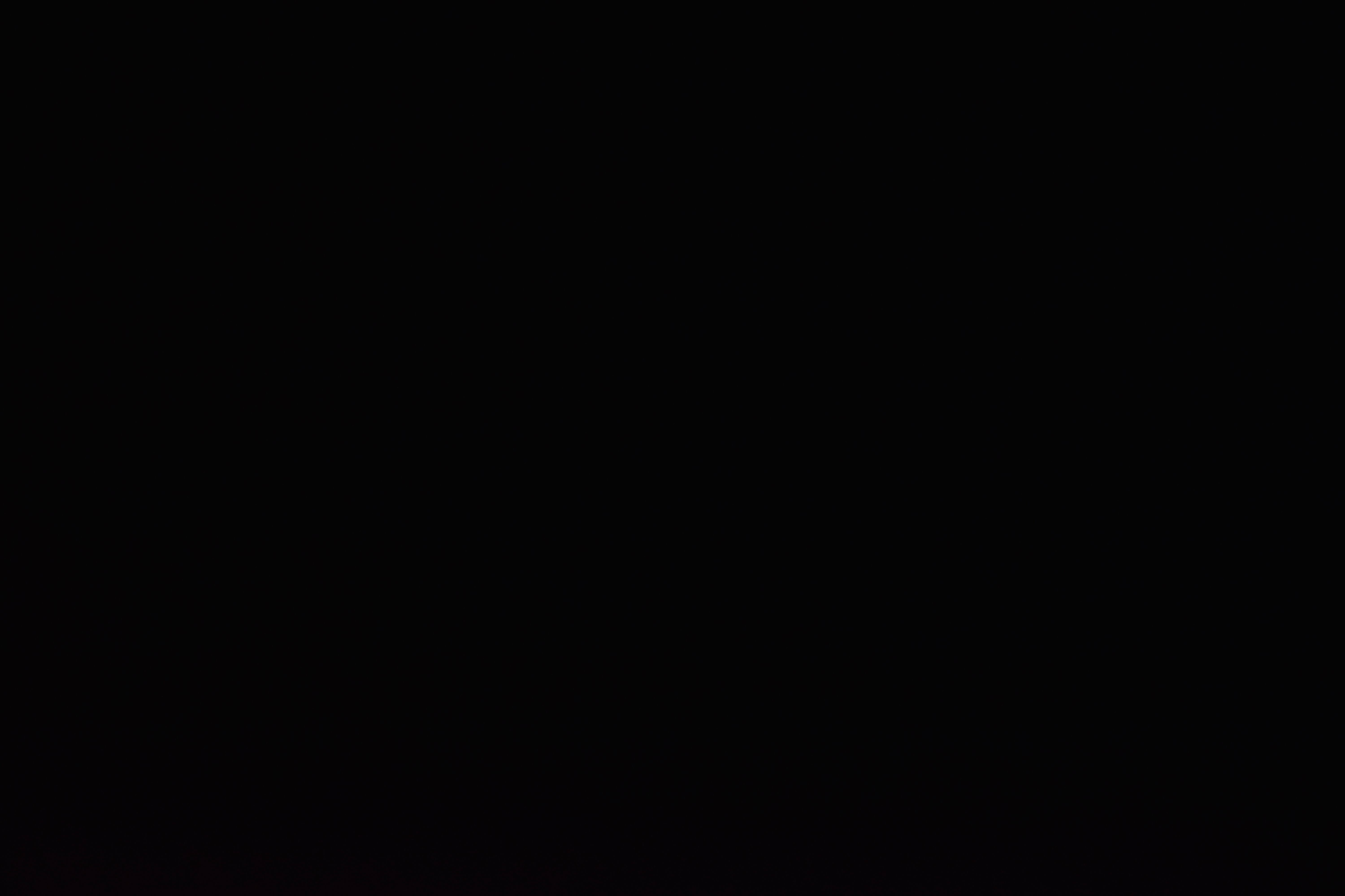 Archiv Foto Webcam Blick auf den Loser