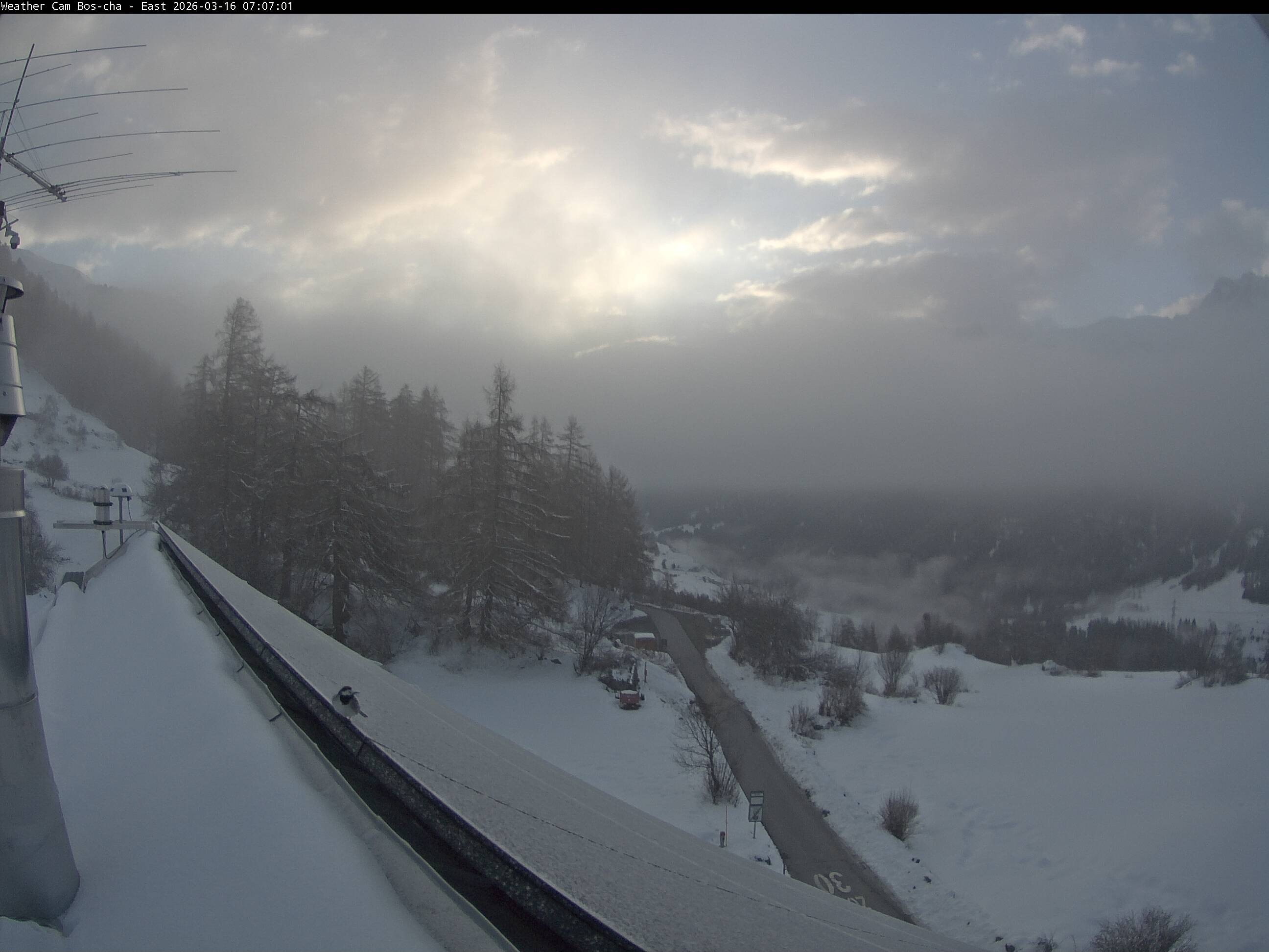 Archiv Foto Webcam Ardez - Bos-cha