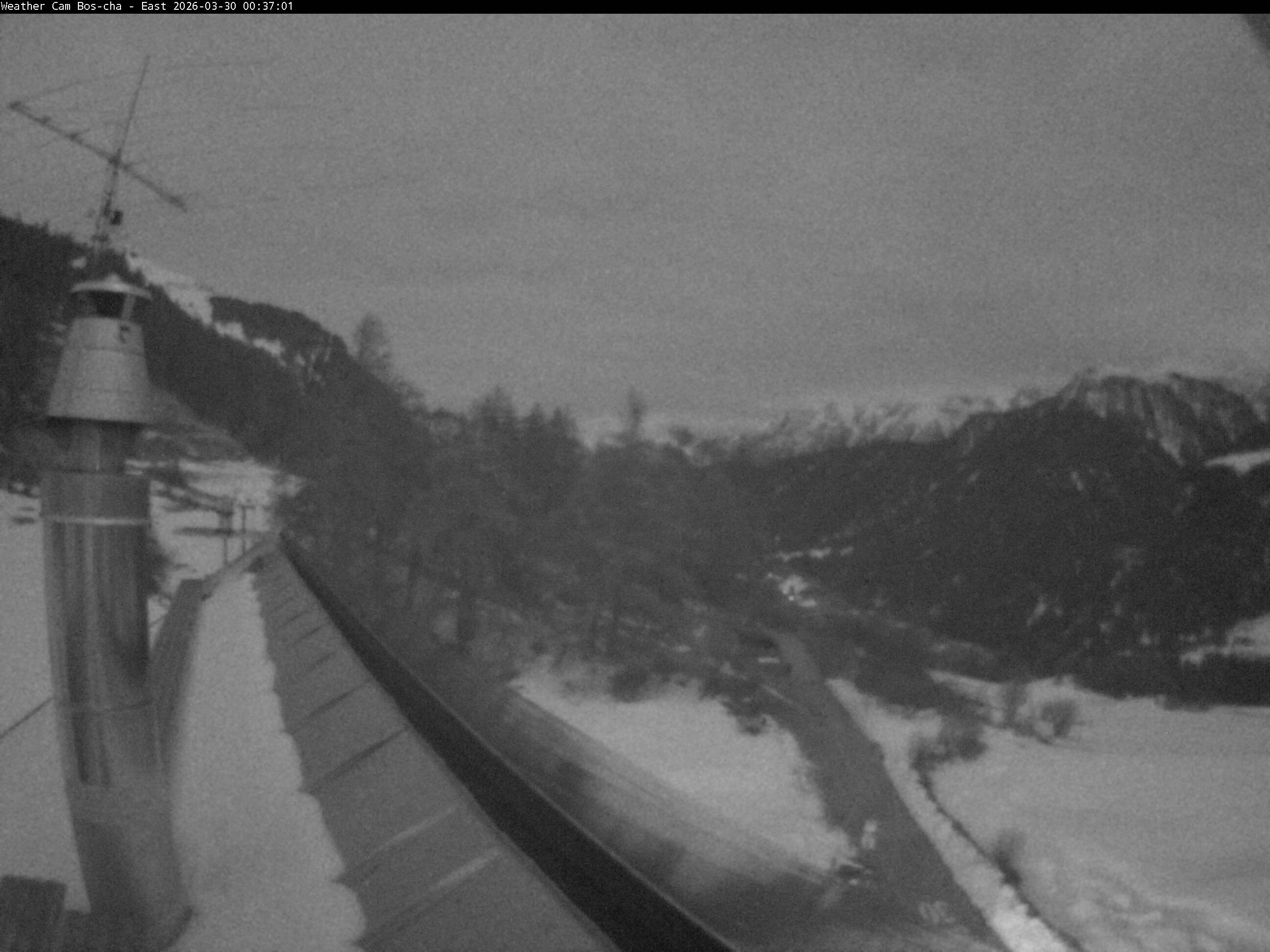 Archived image Webcam Bos-cha East