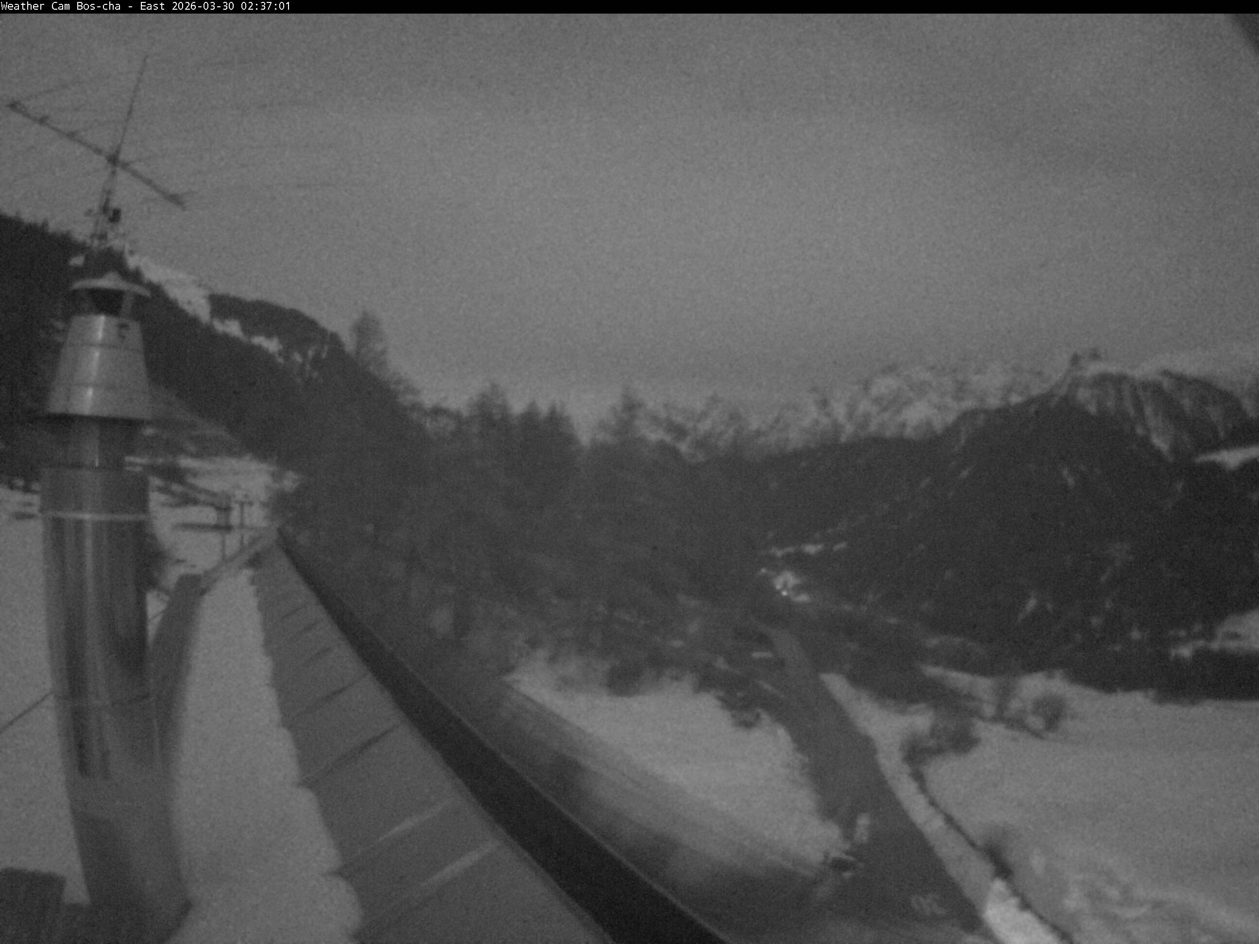 Archived image Webcam Bos-cha East