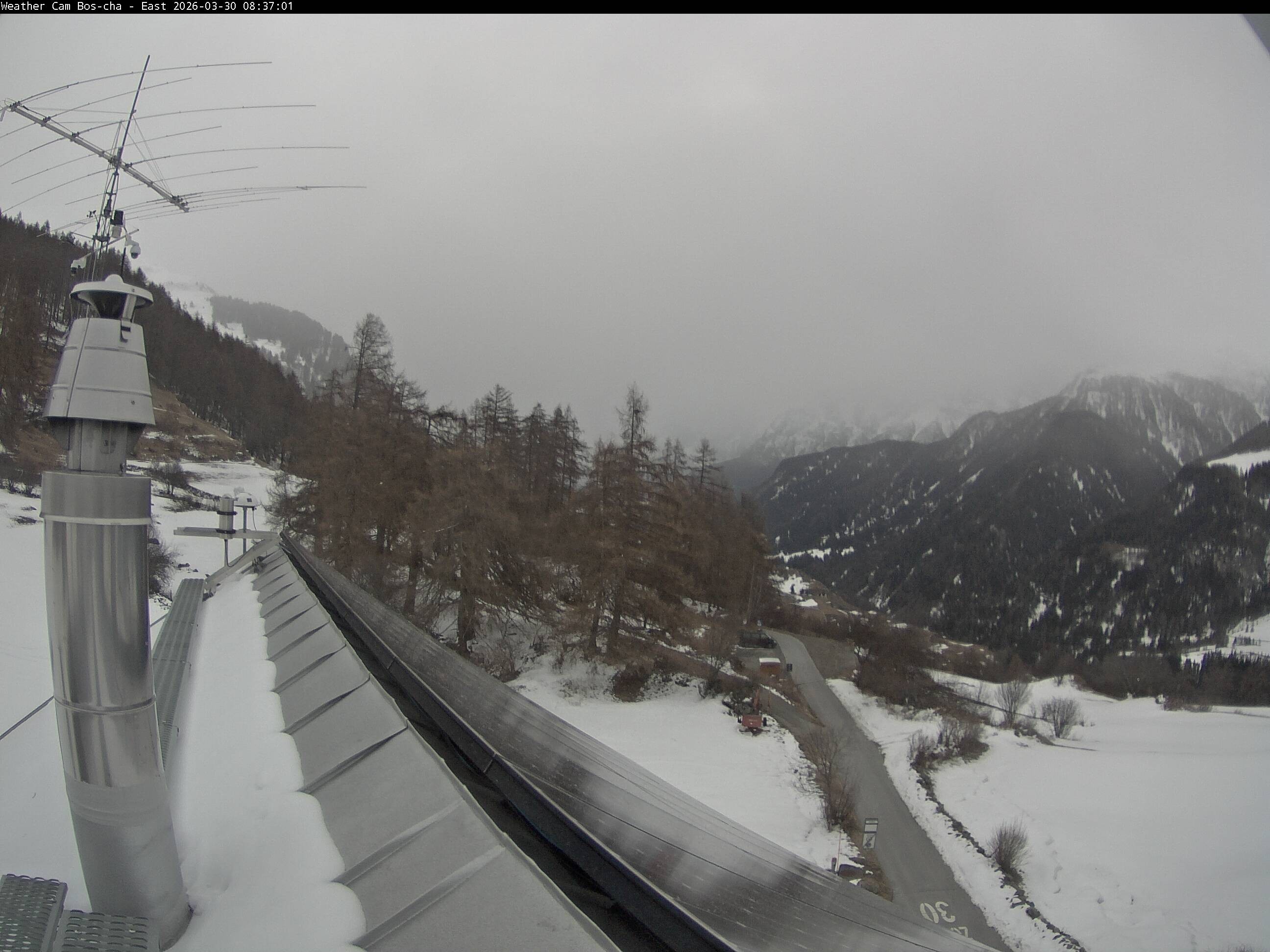 Archived image Webcam Bos-cha East