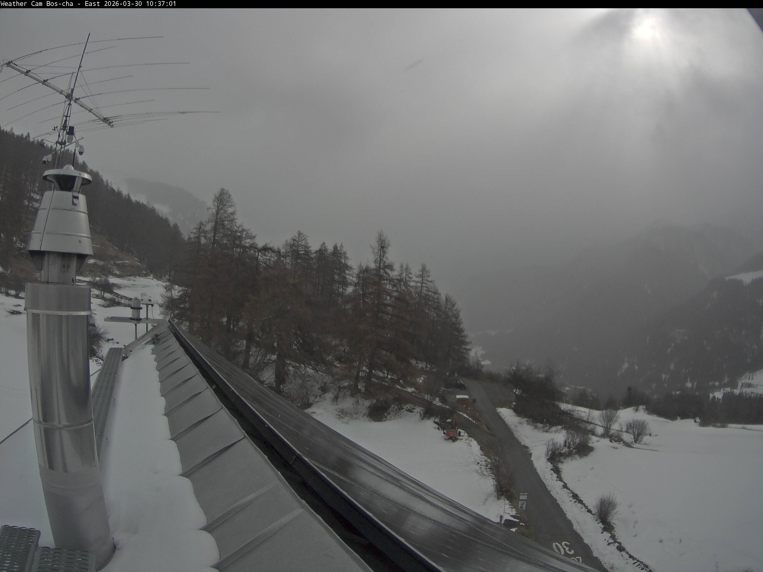 Archived image Webcam Bos-cha East