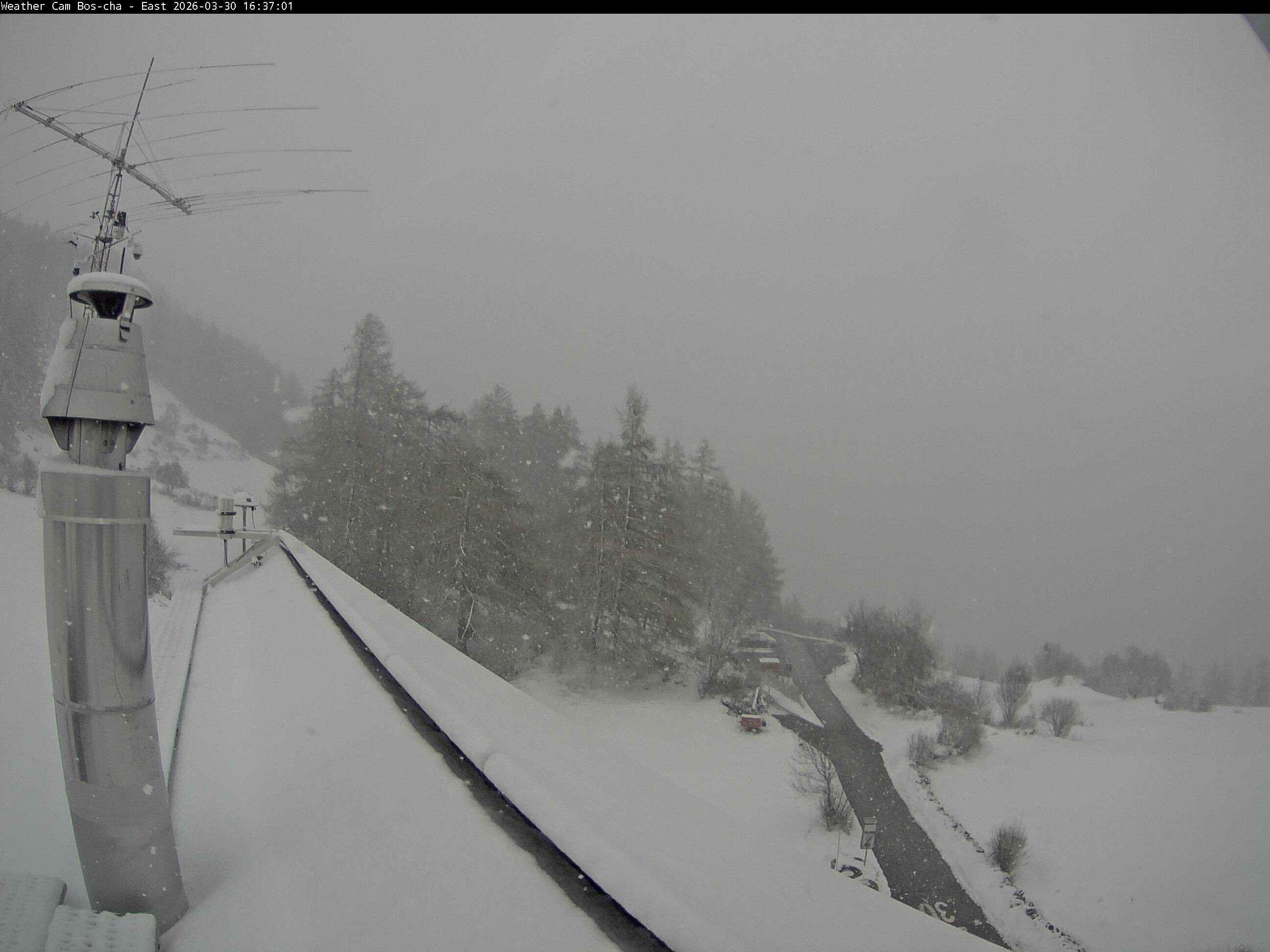 Archived image Webcam Bos-cha East