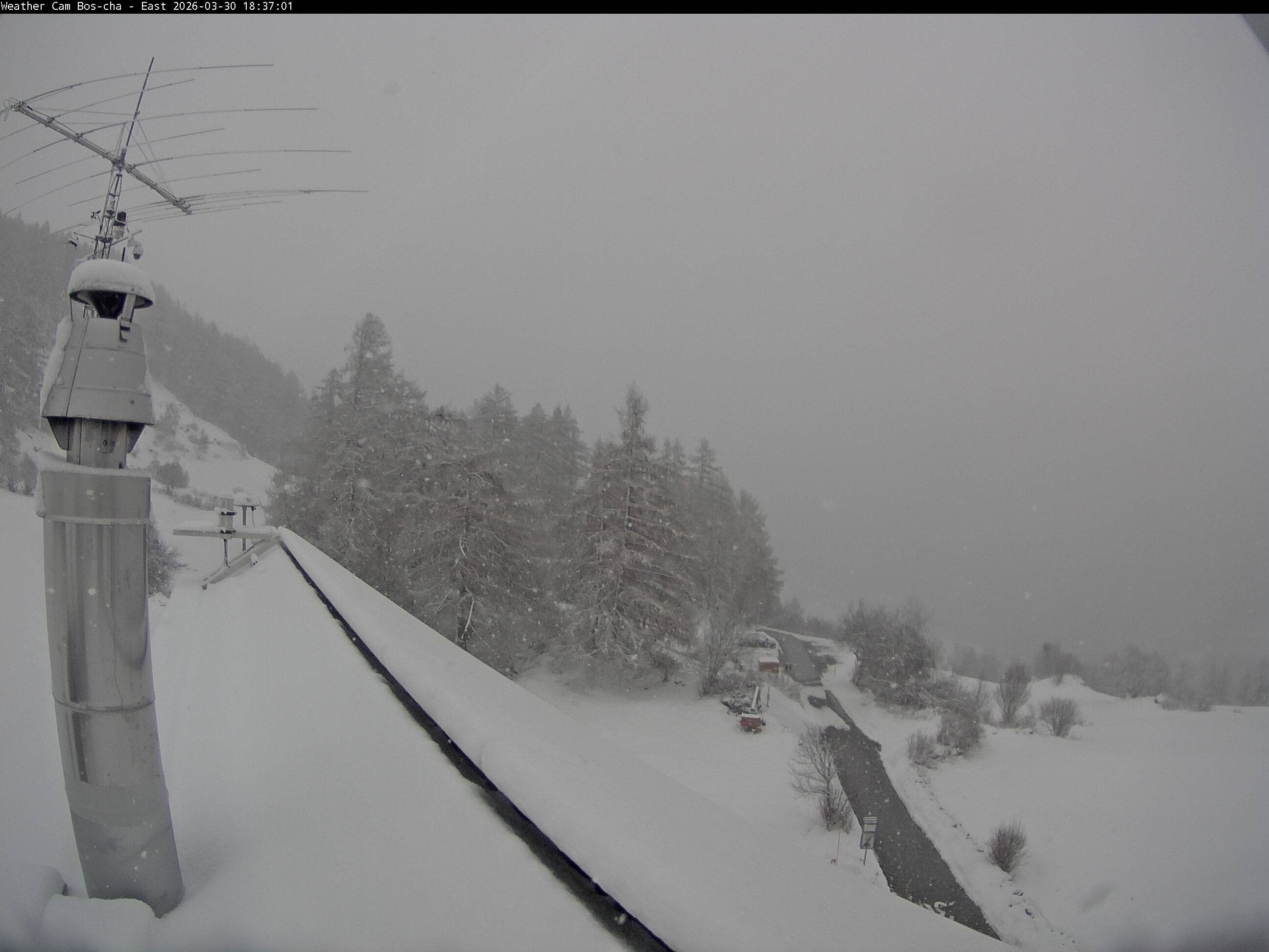 Archived image Webcam Bos-cha East