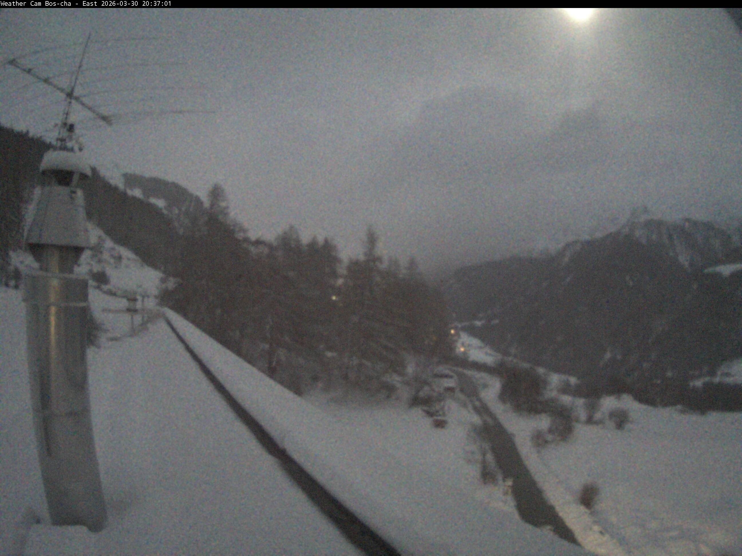 Archived image Webcam Bos-cha East