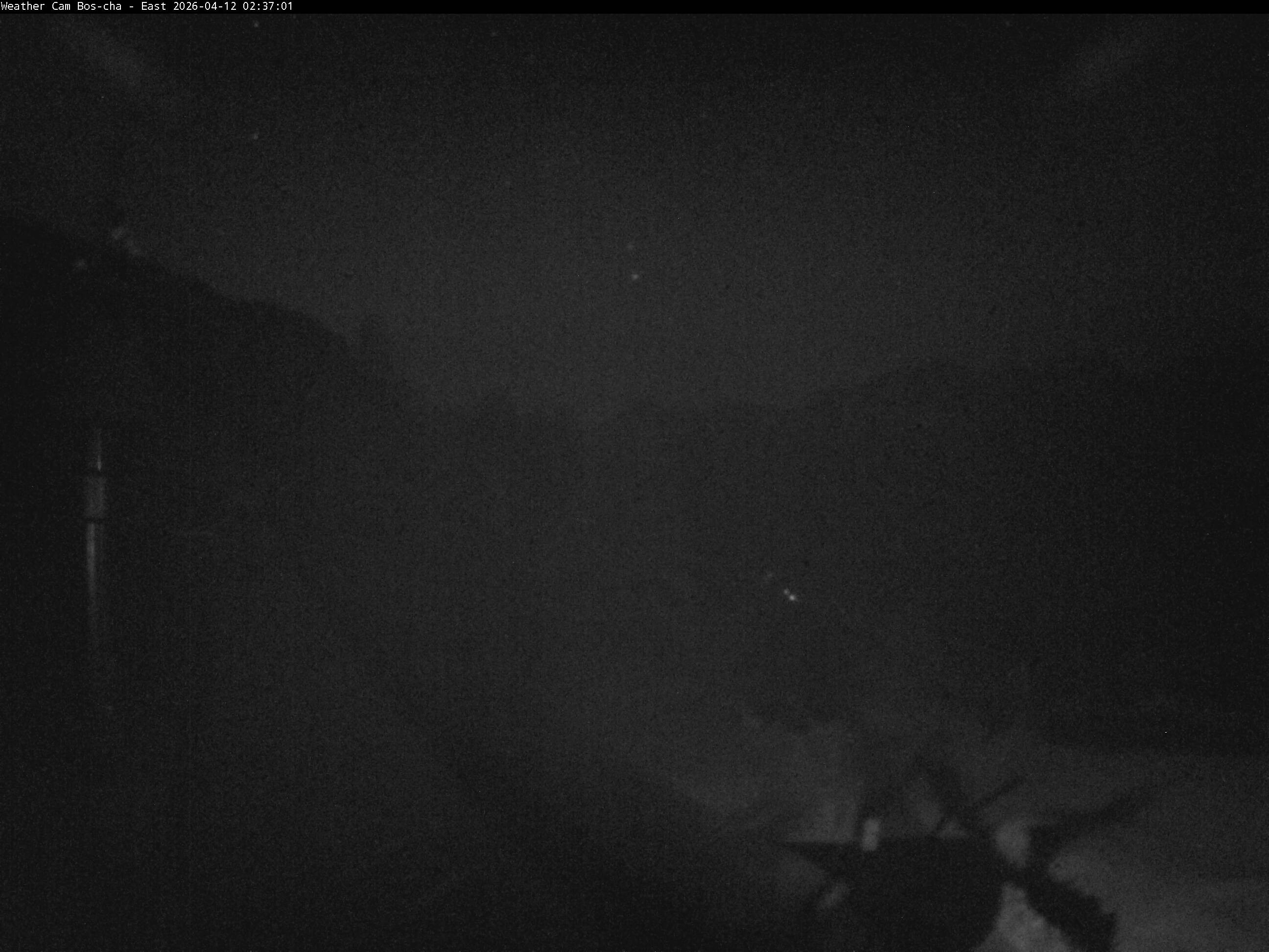 Archived image Webcam Bos-cha East