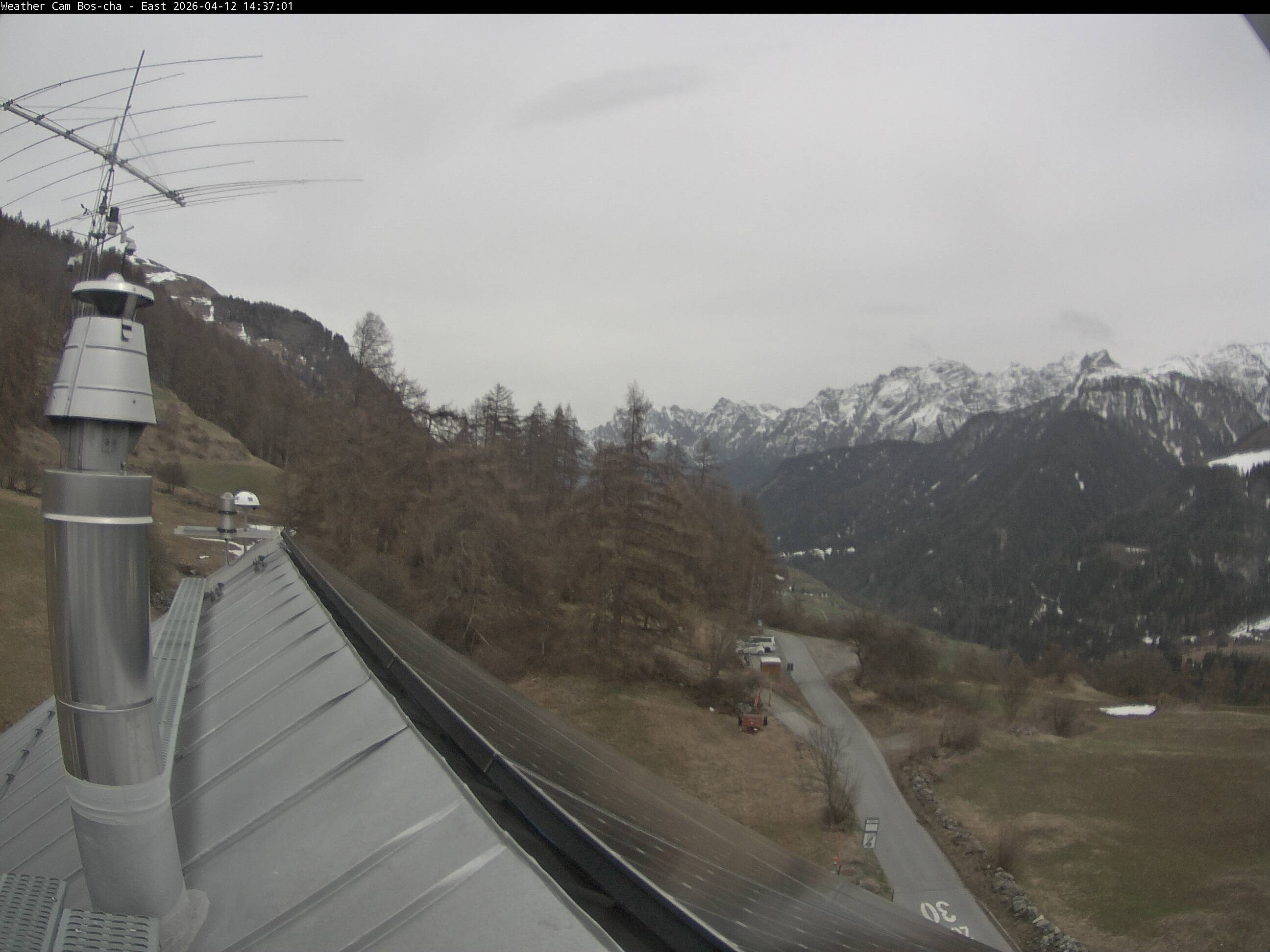 Archived image Webcam Bos-cha East