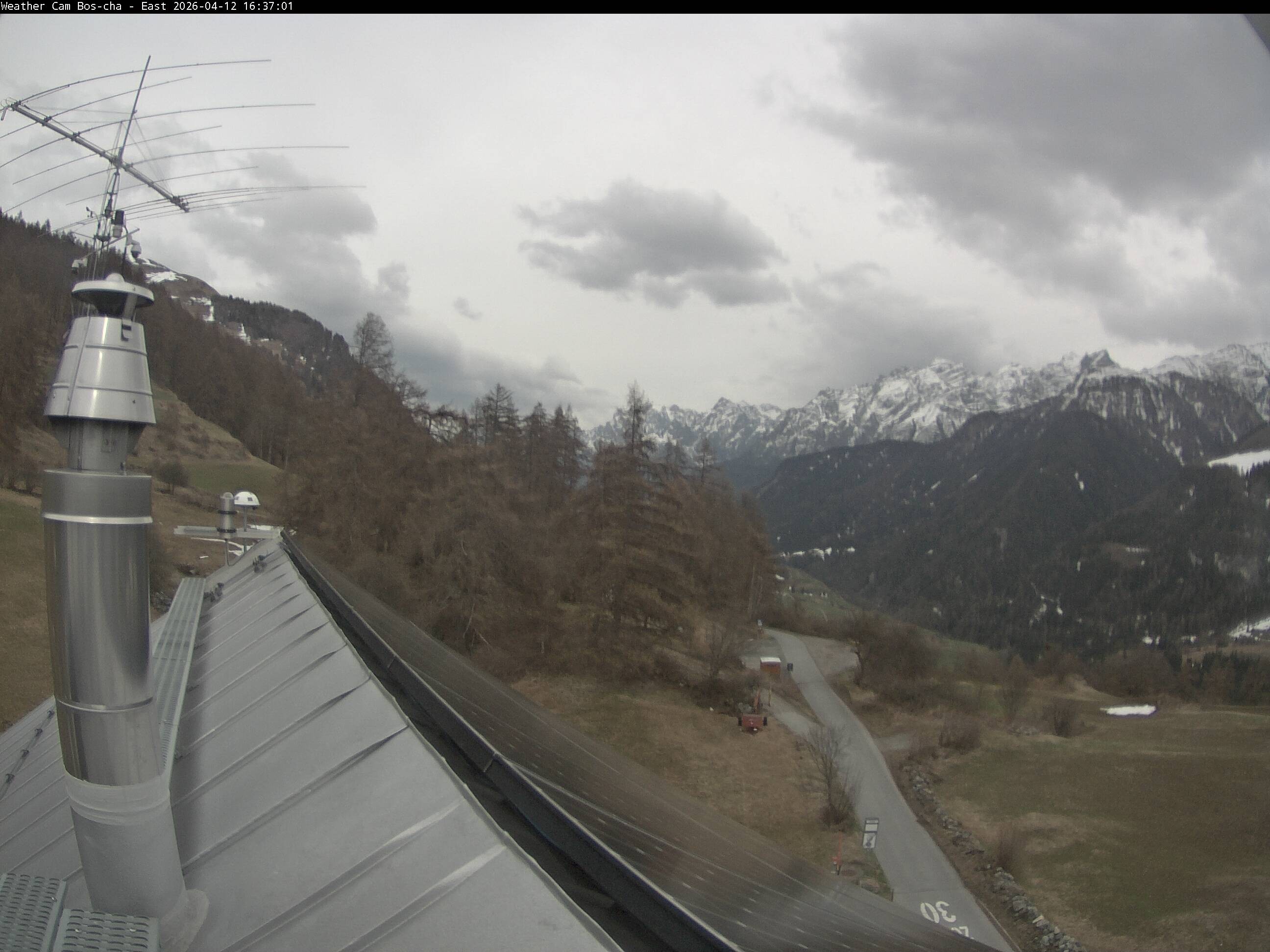 Archived image Webcam Bos-cha East