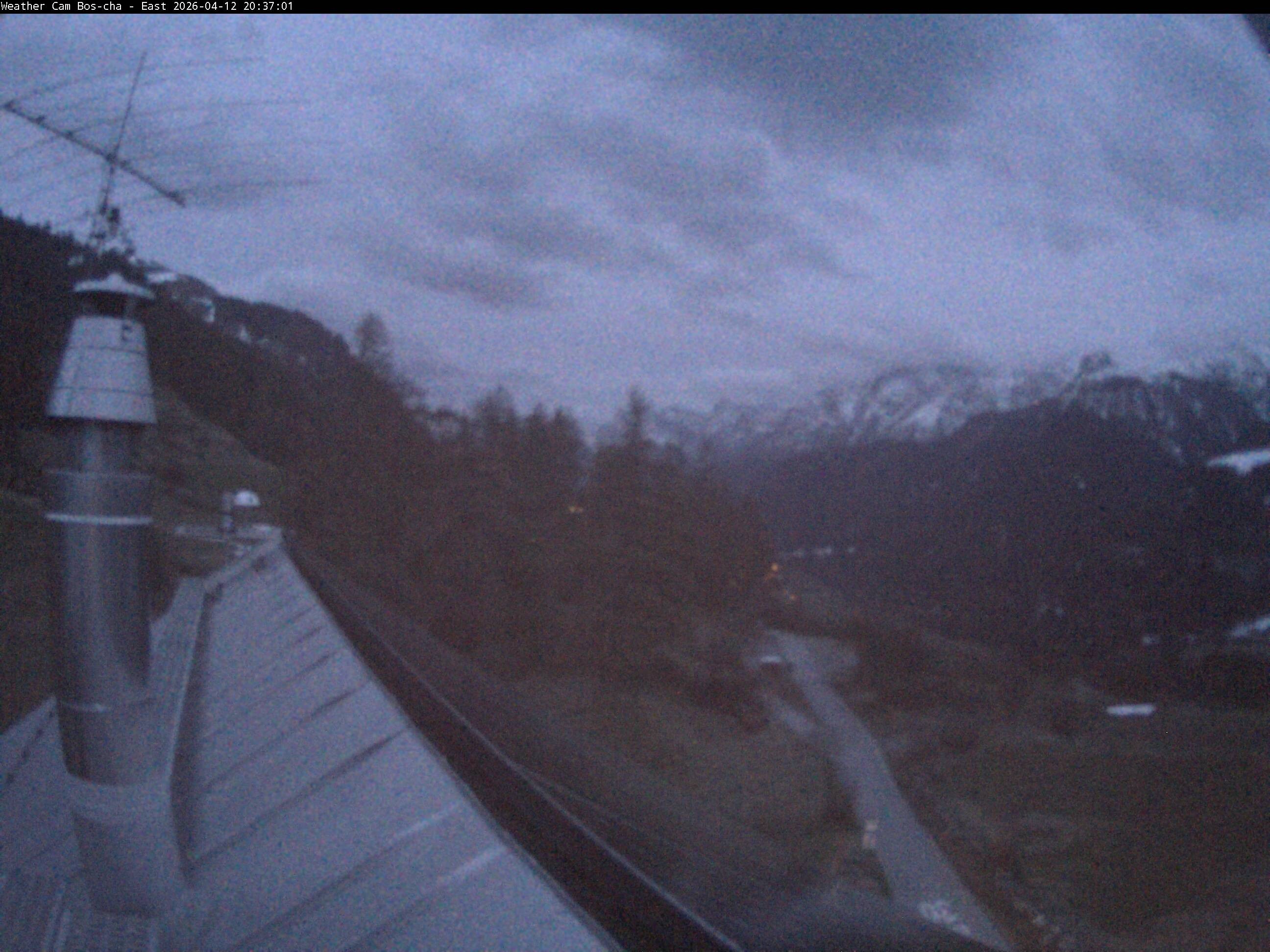 Archived image Webcam Bos-cha East