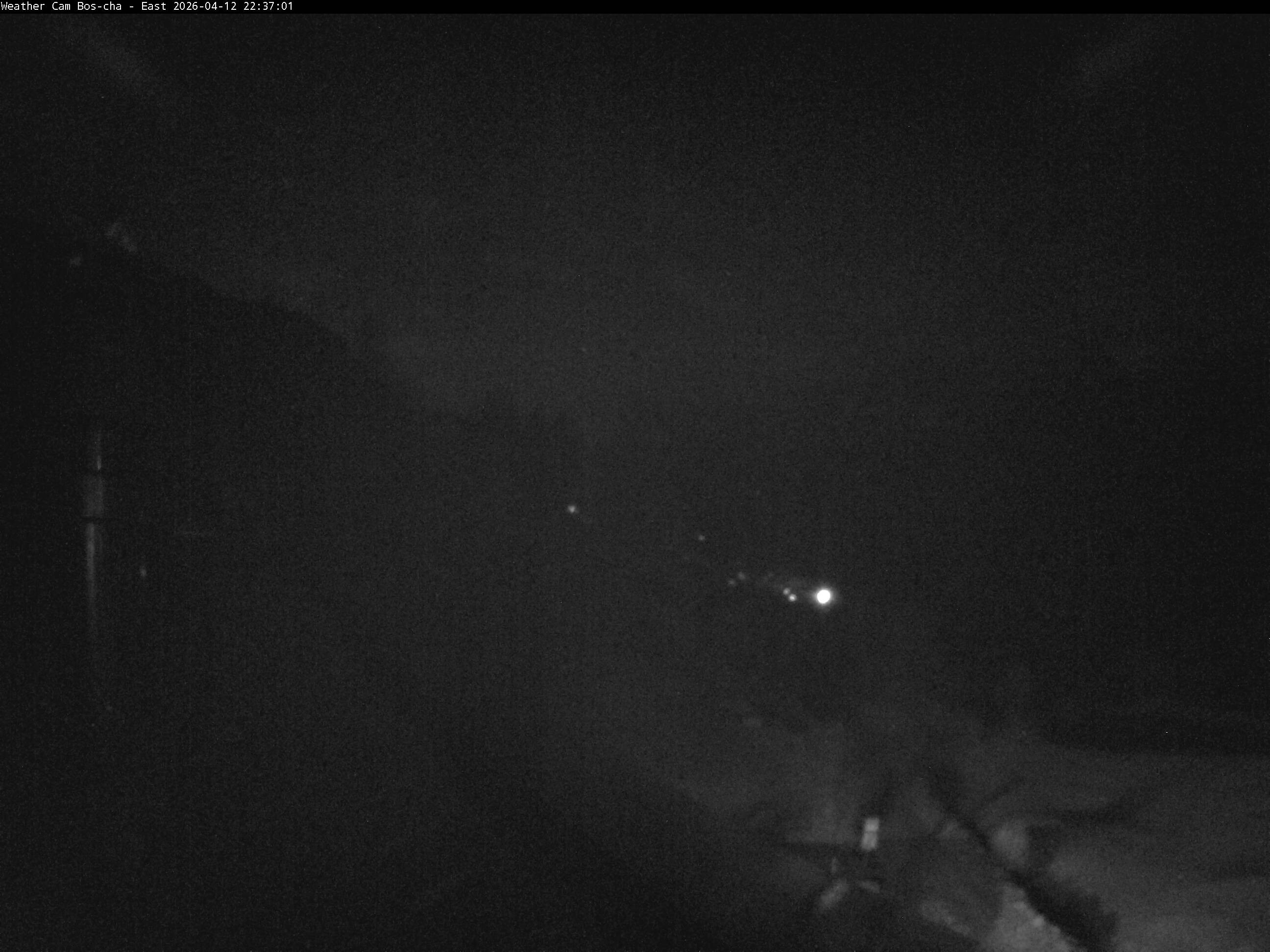 Archived image Webcam Bos-cha East