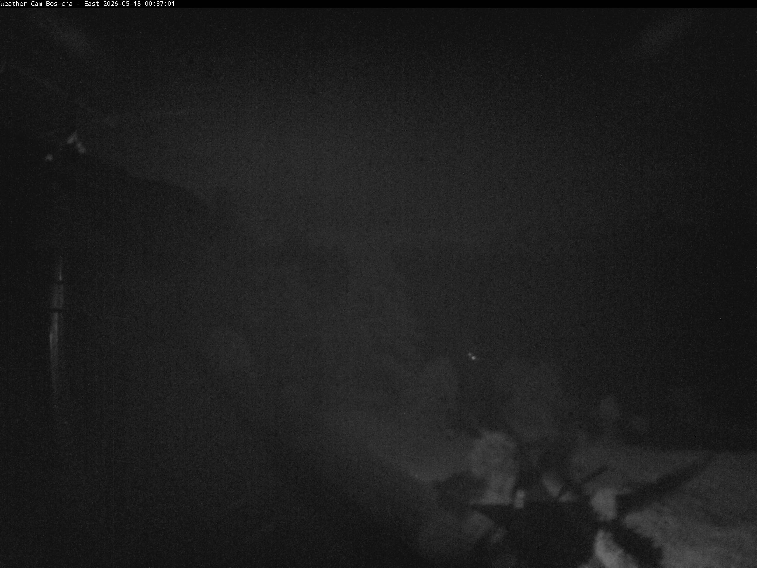 Archived image Webcam Bos-cha East