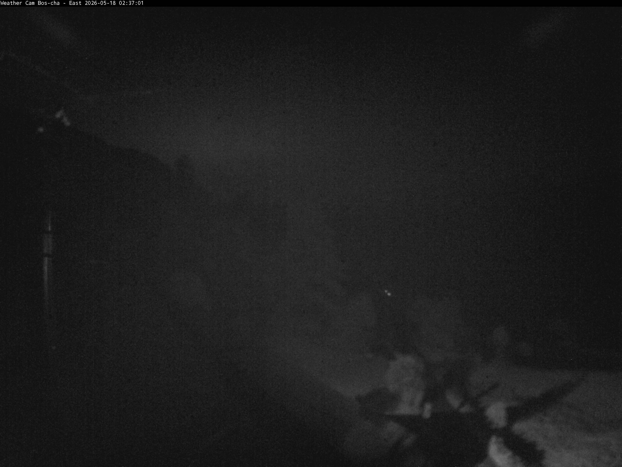 Archived image Webcam Bos-cha East