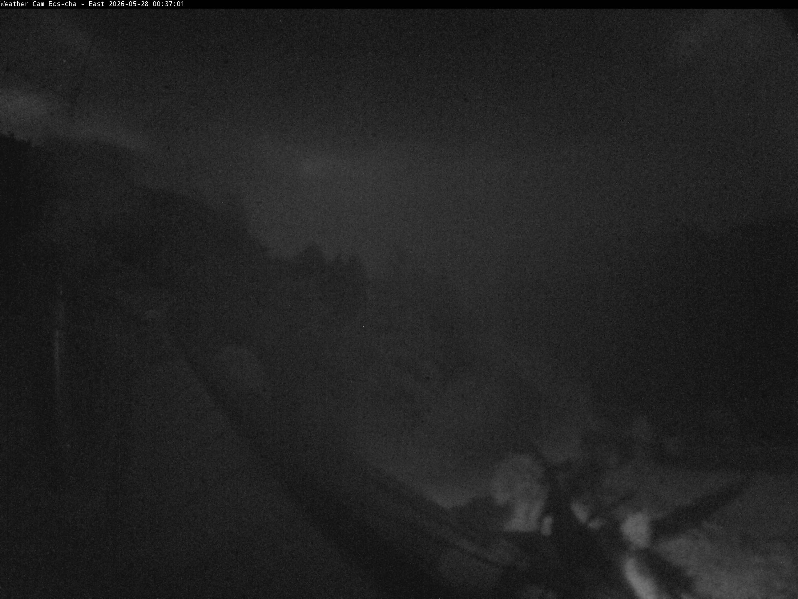 Archived image Webcam Bos-cha East