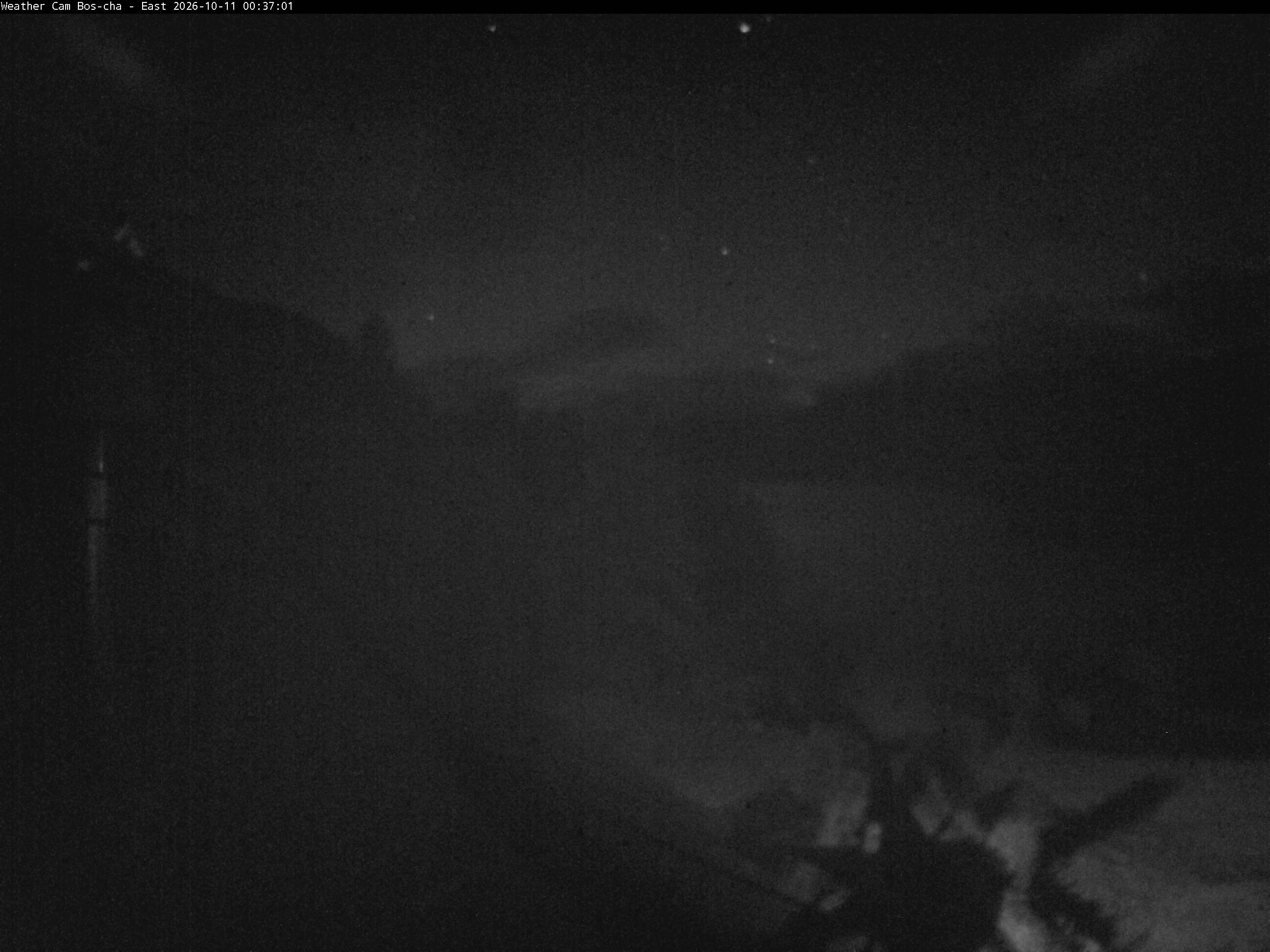 Archived image Webcam Bos-cha East
