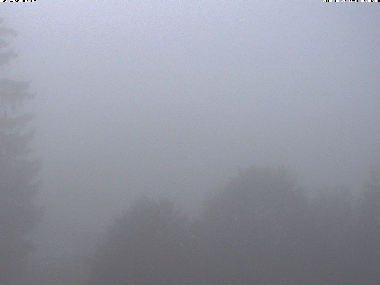 Archiv Foto Webcam Hotel Angerhof in Sankt Englmar, Niederbayern