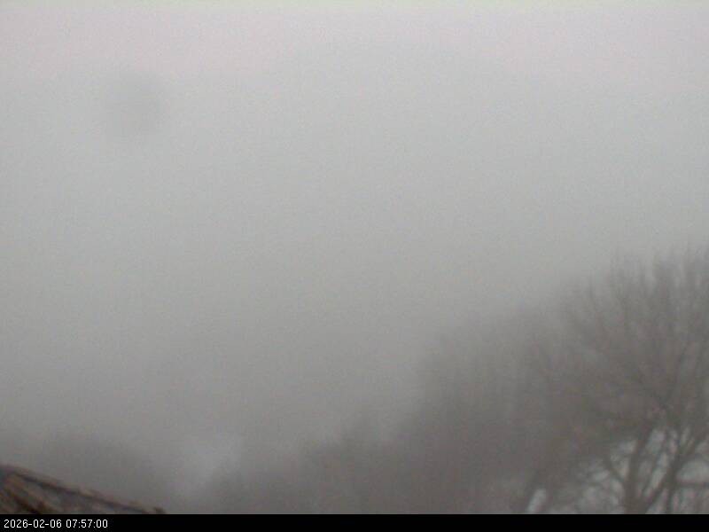 Archiv Foto Webcam Blick auf Falkenstein (Cham)