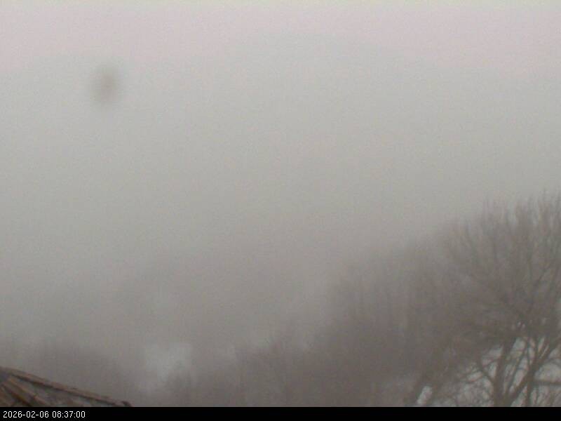 Archiv Foto Webcam Blick auf Falkenstein (Cham)