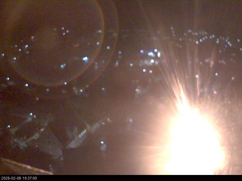 Archiv Foto Webcam Blick auf Falkenstein (Cham)