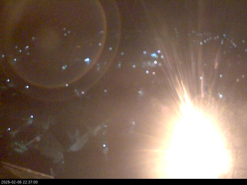 Archiv Foto Webcam Blick auf Falkenstein (Cham)