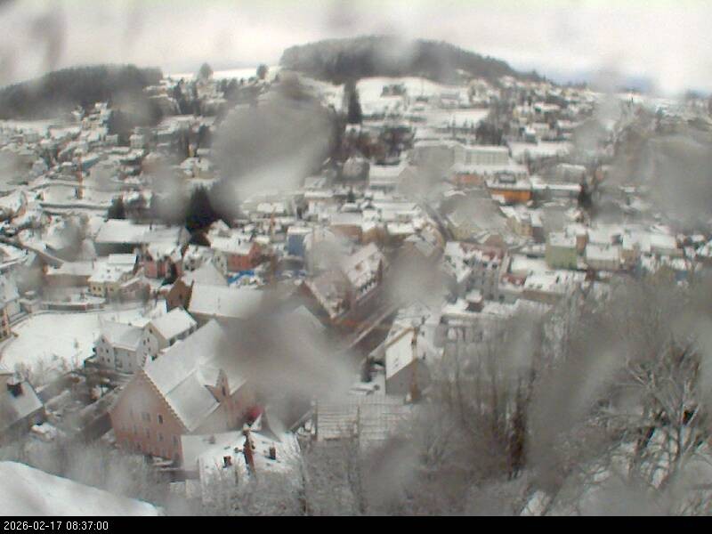 Archiv Foto Webcam Blick auf Falkenstein (Cham)