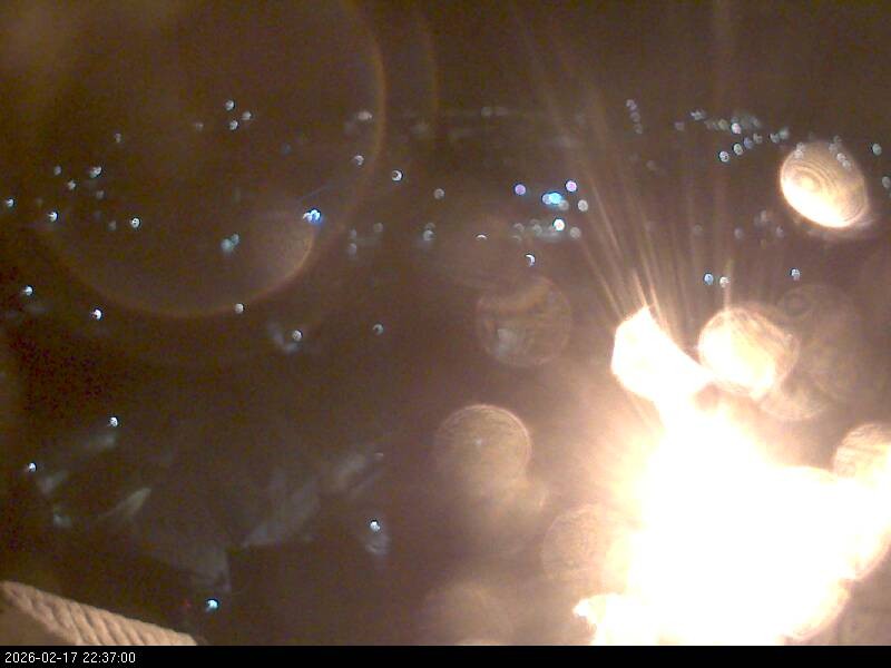 Archiv Foto Webcam Blick auf Falkenstein (Cham)