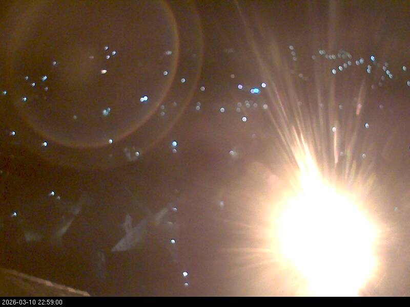 Archiv Foto Webcam Blick auf Falkenstein (Cham)