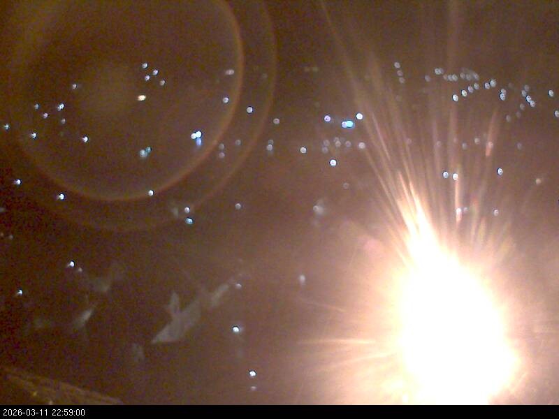 Archiv Foto Webcam Blick auf Falkenstein (Cham)