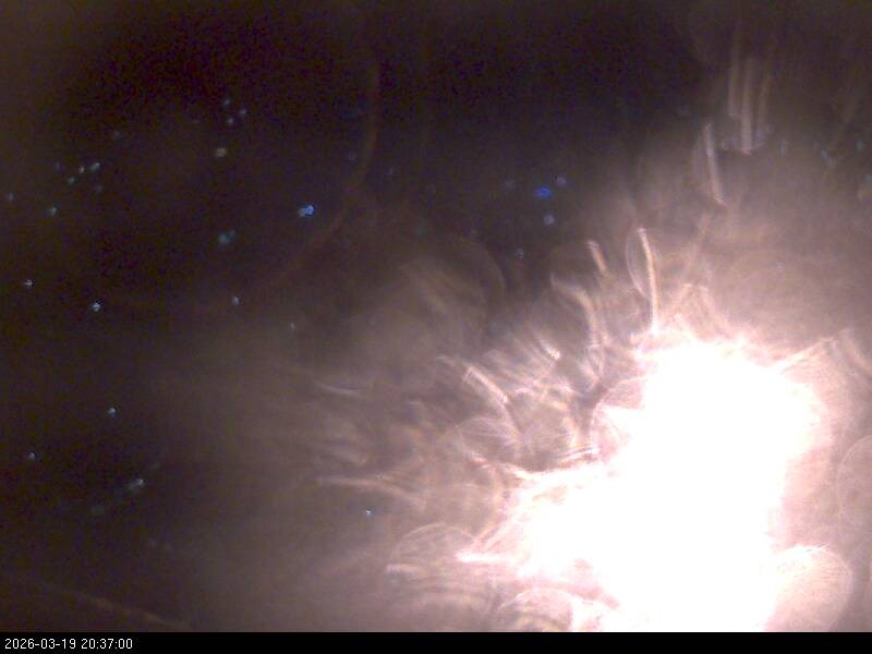 Archiv Foto Webcam Blick auf Falkenstein (Cham)