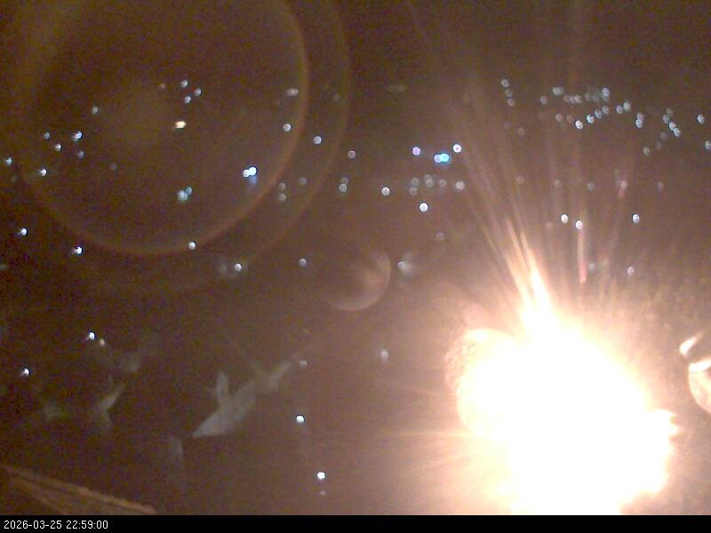 Archiv Foto Webcam Blick auf Falkenstein (Cham)