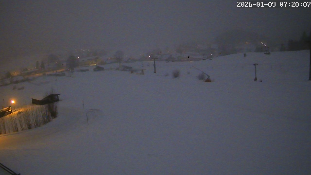 Archiv Foto Webcam Zuckerwiese Mariazeller Bürgeralpe