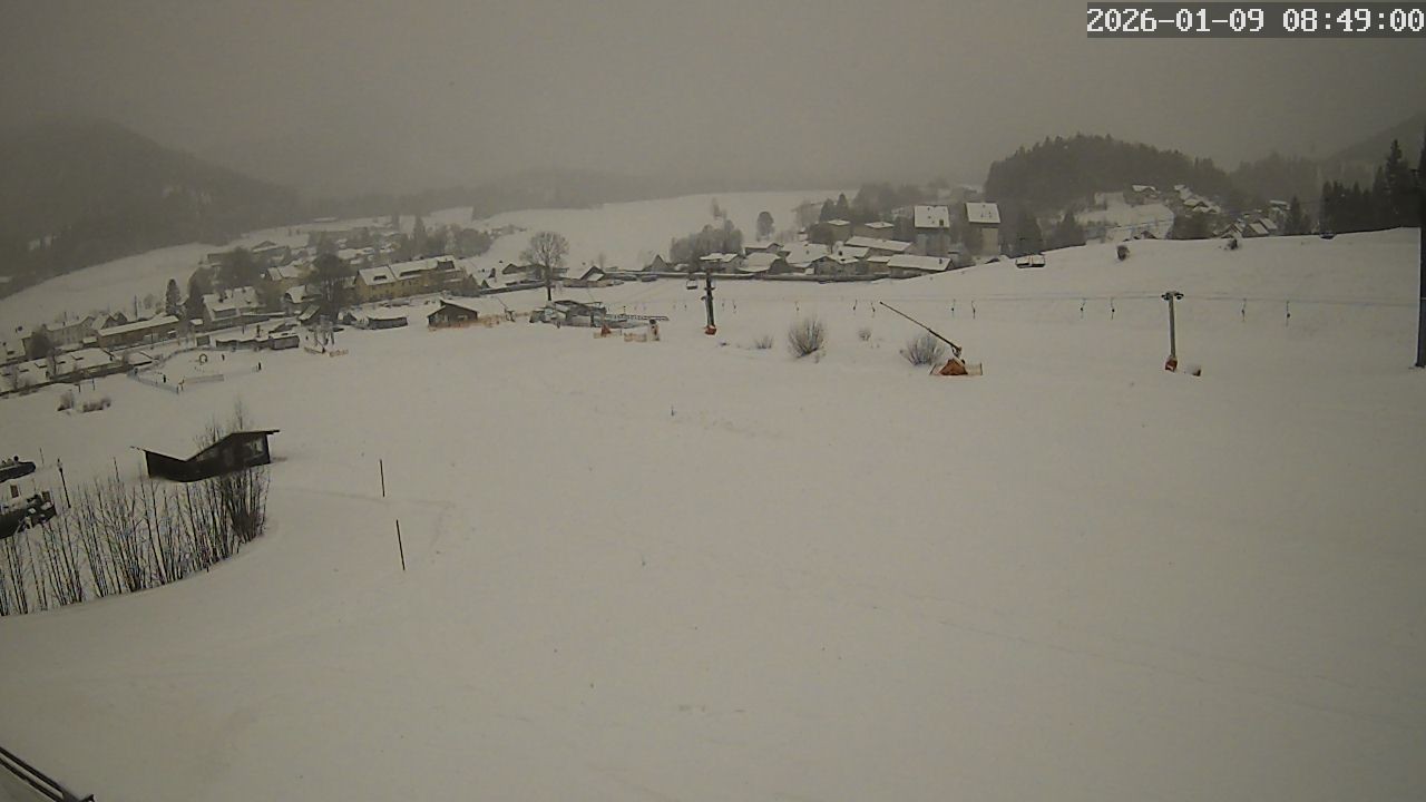 Archiv Foto Webcam Zuckerwiese Mariazeller Bürgeralpe