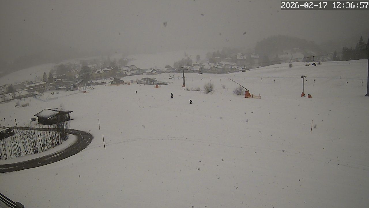 Archiv Foto Webcam Zuckerwiese Mariazeller Bürgeralpe