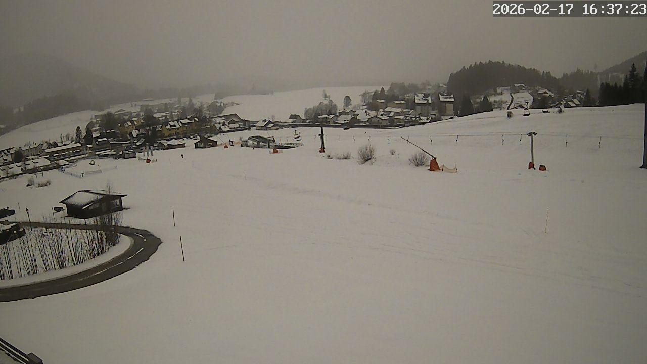 Archiv Foto Webcam Zuckerwiese Mariazeller Bürgeralpe