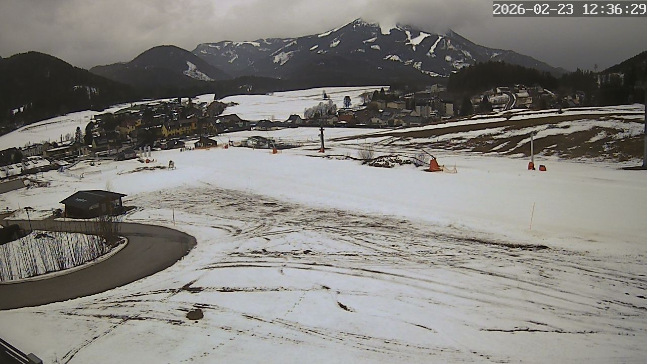 Archiv Foto Webcam Zuckerwiese Mariazeller Bürgeralpe