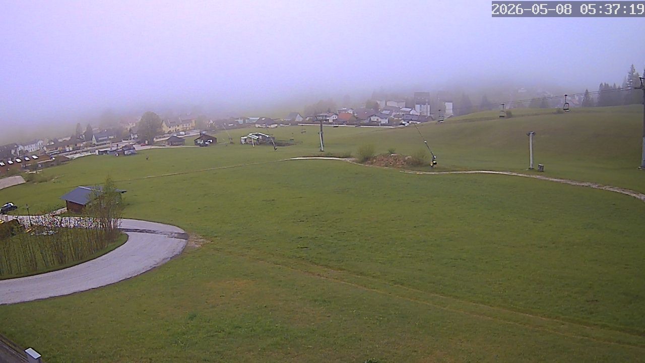 Archiv Foto Webcam Zuckerwiese Mariazeller Bürgeralpe