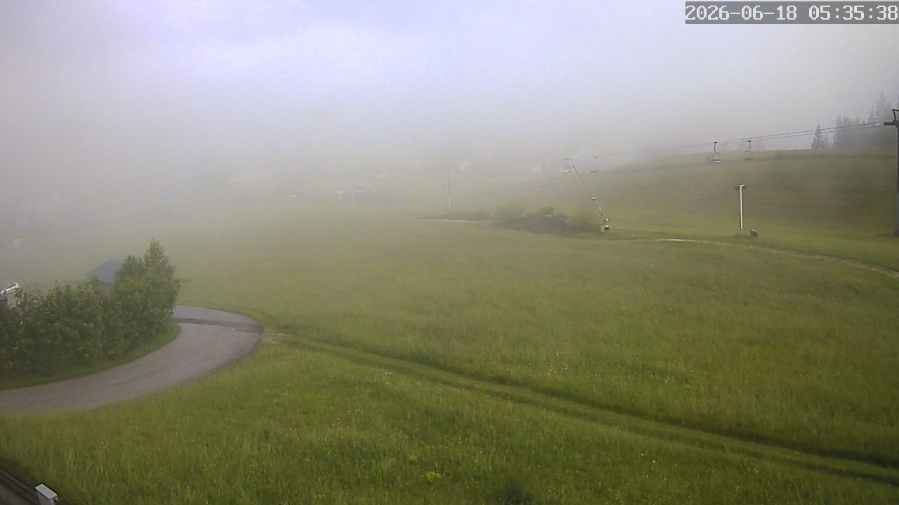 Archiv Foto Webcam Zuckerwiese Mariazeller Bürgeralpe