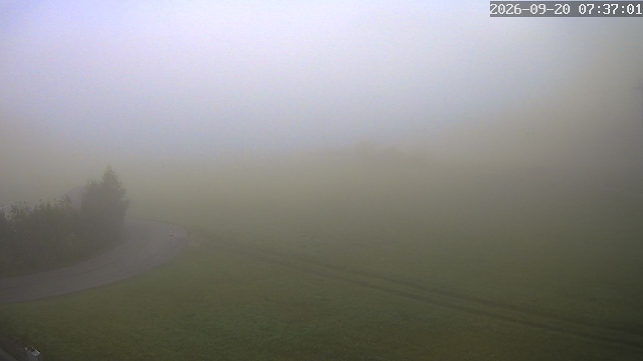 Archiv Foto Webcam Zuckerwiese Mariazeller Bürgeralpe