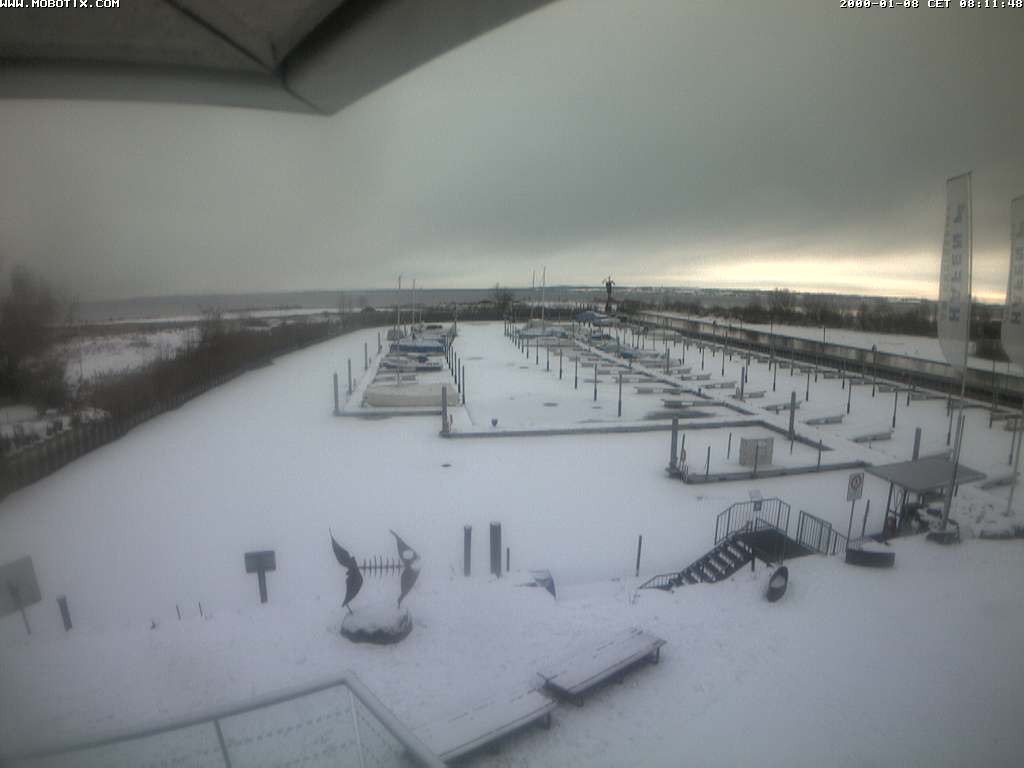 Archiv Foto Webcam Bodensee: Hafen Rheinhof