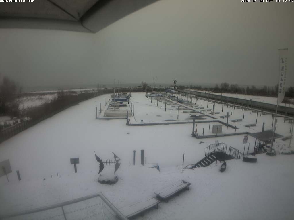 Archived image Webcam Marina Rheinhof Altenrhein at Lake Constance