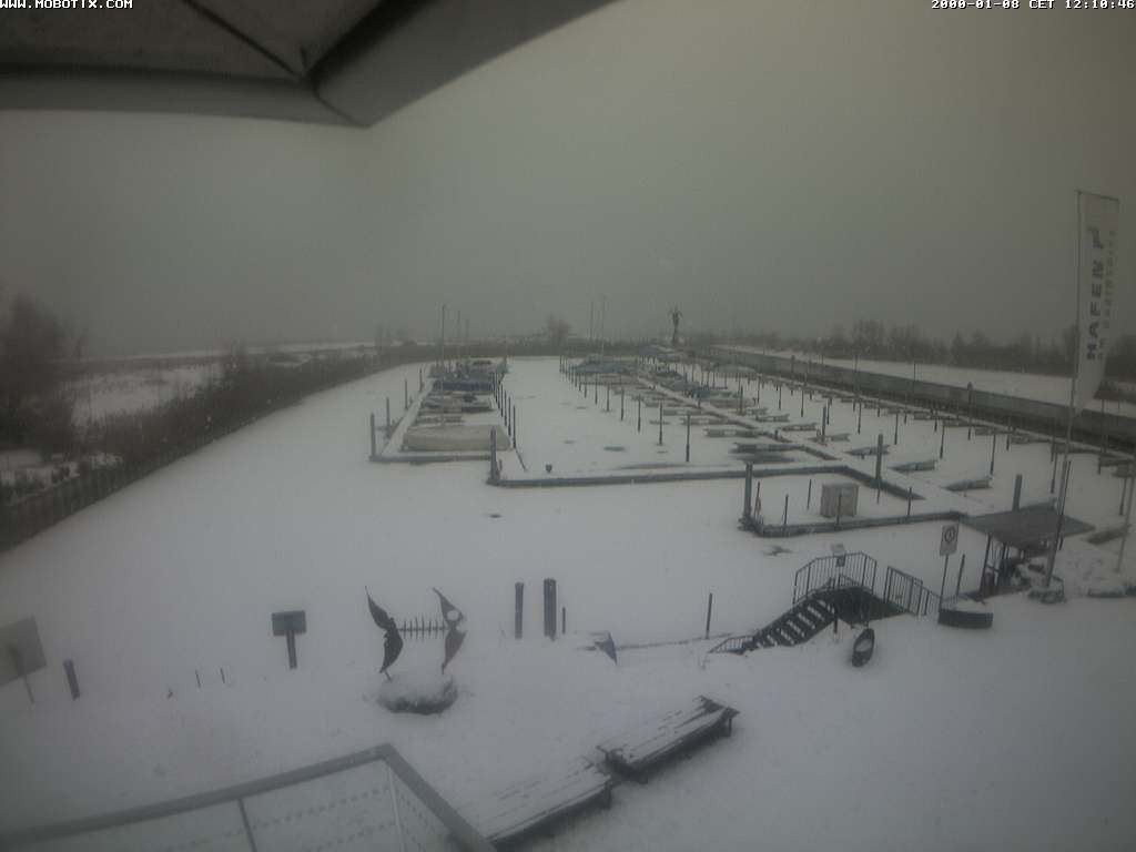 Archived image Webcam Marina Rheinhof Altenrhein at Lake Constance