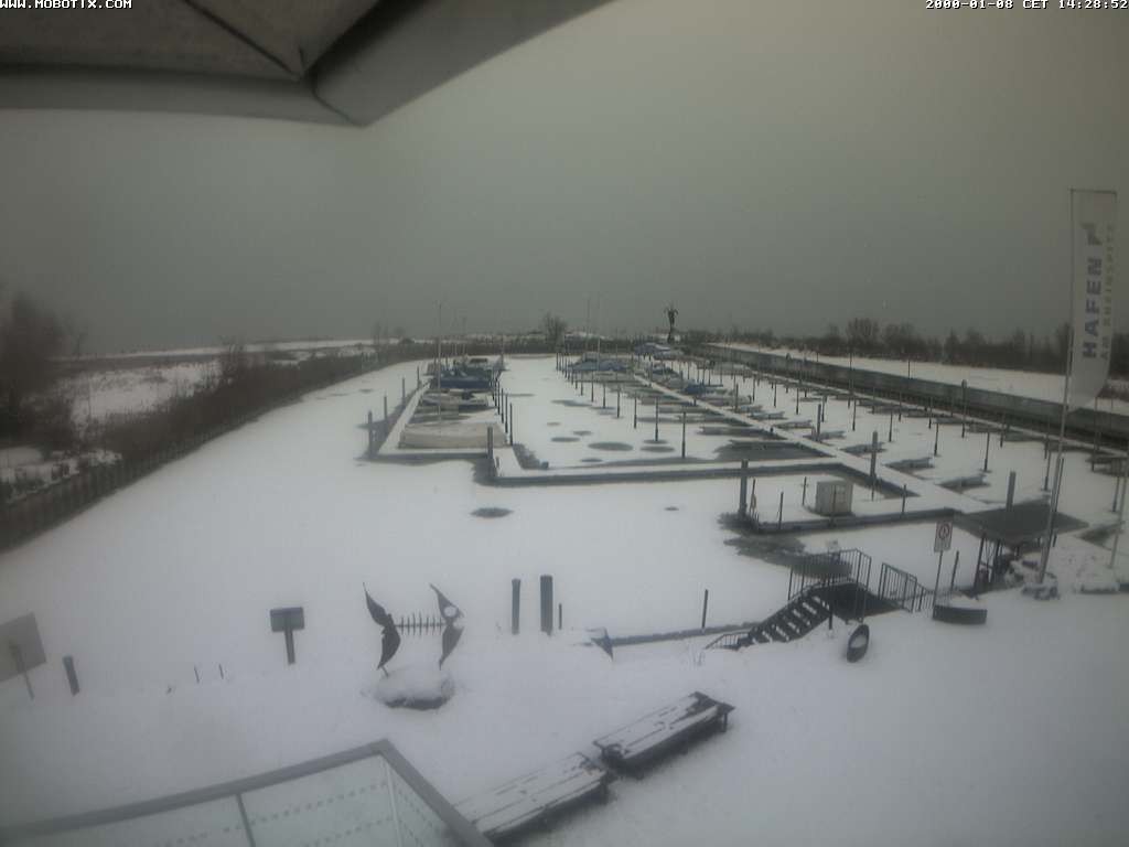 Archived image Webcam Marina Rheinhof Altenrhein at Lake Constance