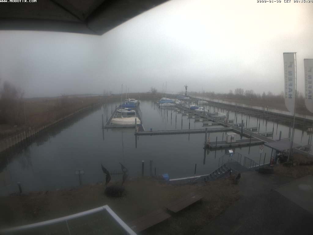 Archiv Foto Webcam Bodensee: Hafen Rheinhof