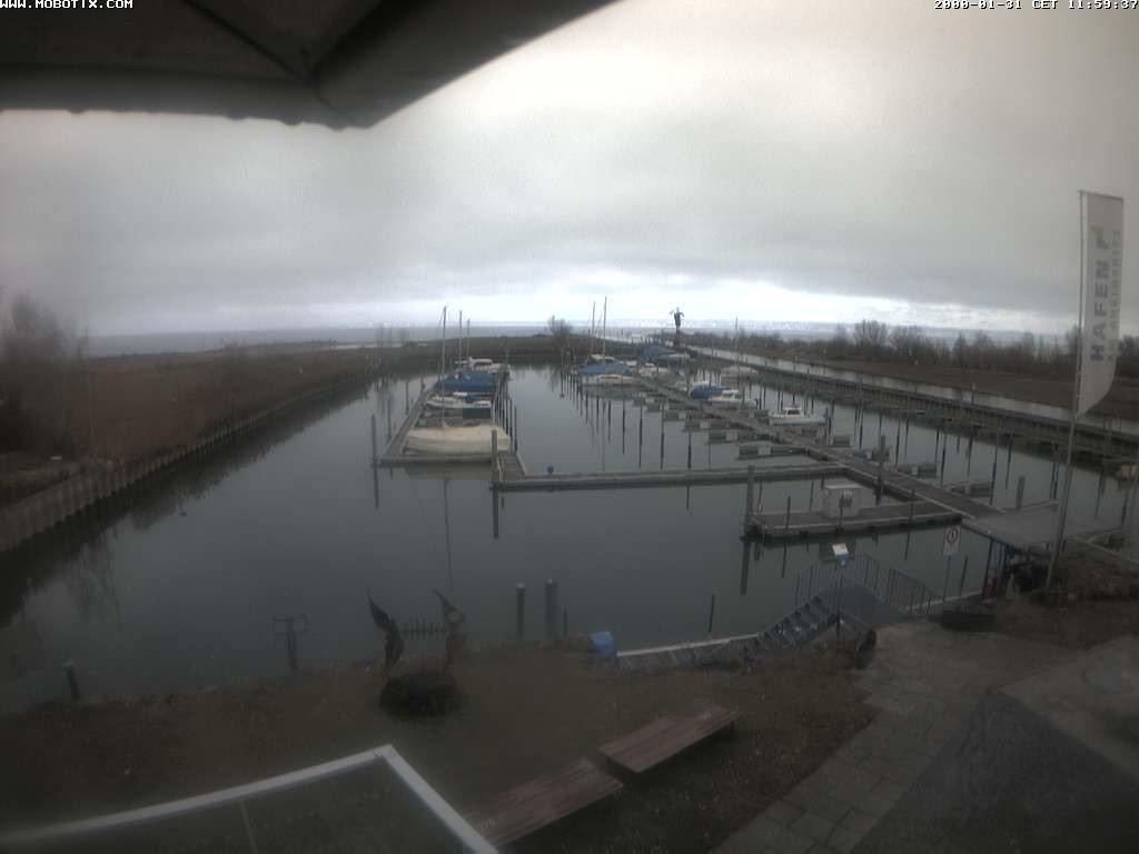 Archiv Foto Webcam Bodensee: Hafen Rheinhof