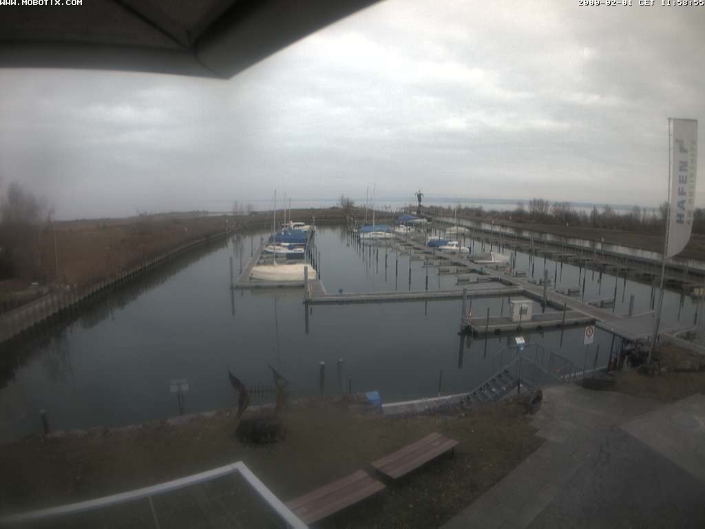 Archiv Foto Webcam Bodensee: Hafen Rheinhof