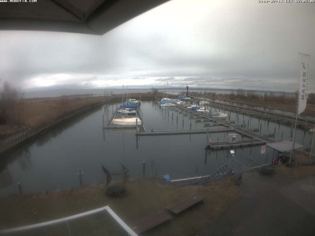 Archiv Foto Webcam Bodensee: Hafen Rheinhof