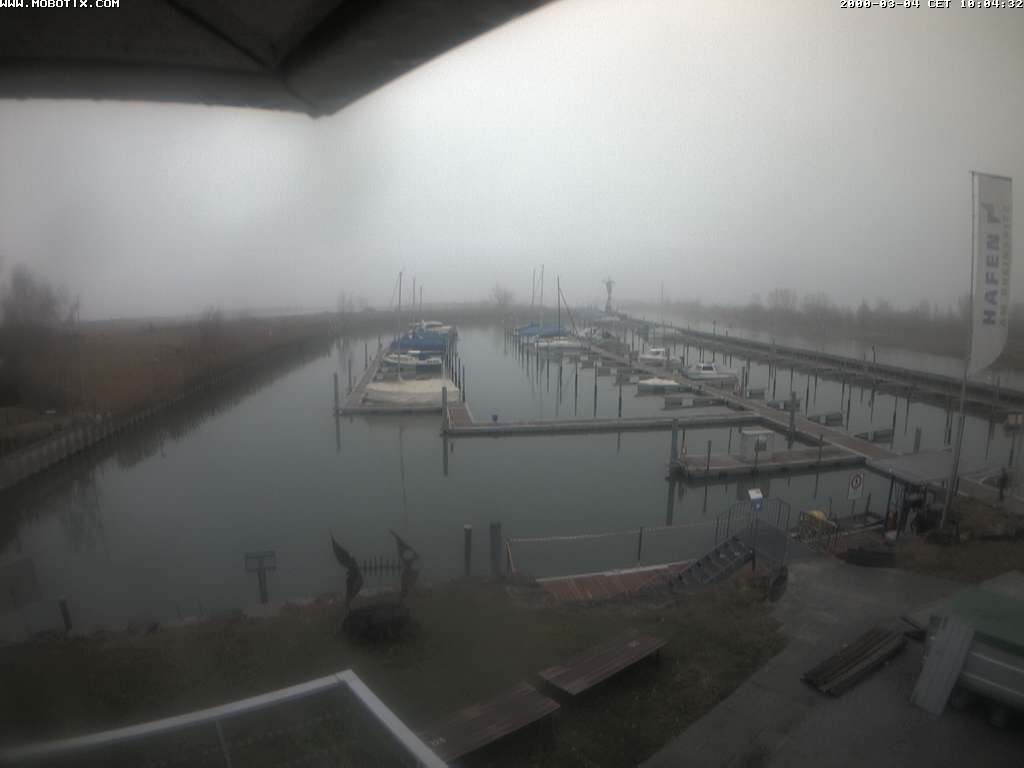 Archiv Foto Webcam Bodensee: Hafen Rheinhof