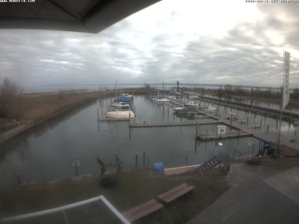 Archived image Webcam Marina Rheinhof Altenrhein at Lake Constance